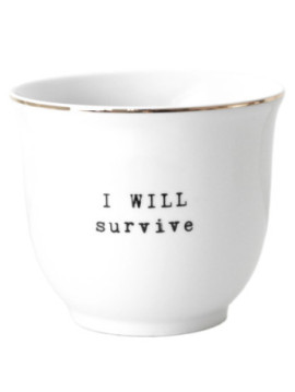 IWILLSURVIVE131