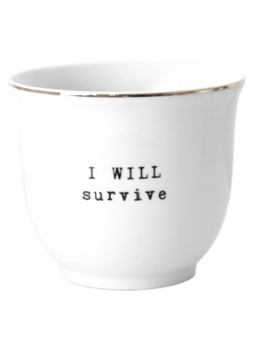 IWILLSURVIVE131
