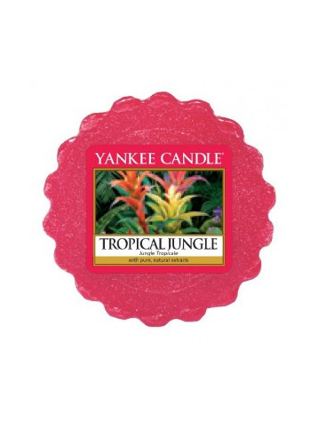 YANKEE CANDLE TROPICAL JUNGLE VONNÝ VOSK DO AROMALAMPY