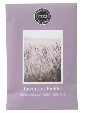 Lavender Fields1