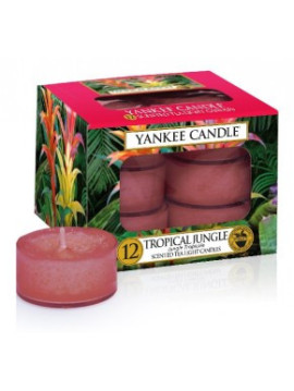 YANKEE CANDLE TROPICAL JUNGLE VONNÁ ČAJOVÁ SVÍČKA