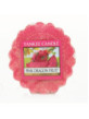 YANKEE CANDLE PINK DRAGONFRUIT VONNÝ VOSK DO AROMALAMPY