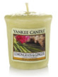 VONNÁ SVÍČKA YANKEE CANDLE LEMONGRASS & GINGER VOTIVNÍ