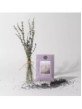 Lavender Fields3