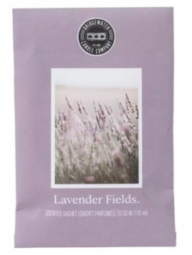 Lavender Fields1
