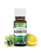 harmonie