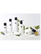 Sweet Grace krém na ruce 65 ml3