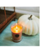 HarvestPumpkinsvi111