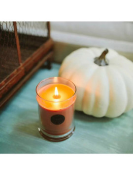 HarvestPumpkinsvi111