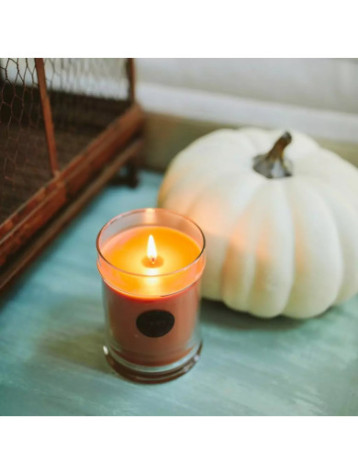 HarvestPumpkinsvi111
