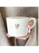 LI-CUP-007-BC2