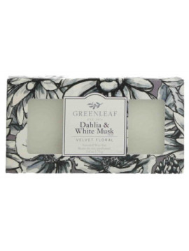 GL - waxbar vosk do aromalampy Dahlia & White Musk