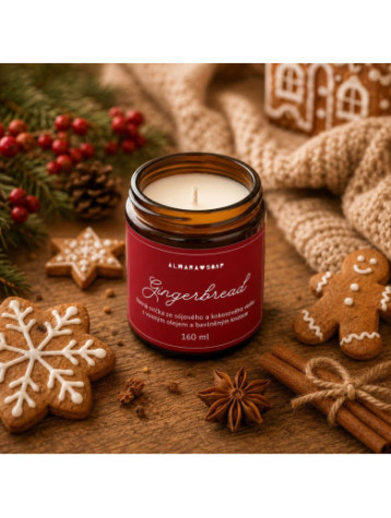 gingerbredsvicka11111