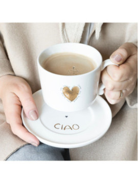 RJ-PL-CUP-110-BC2