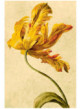 ST614-3