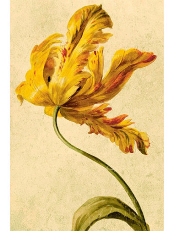ST614-3