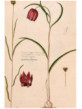 ST554-3