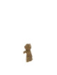 LI-BEAR-001-BC3