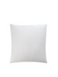 BC-VULLING-50X50