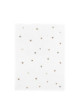 AN-TOWELS-038111