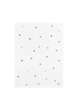 AN-TOWELS-038111